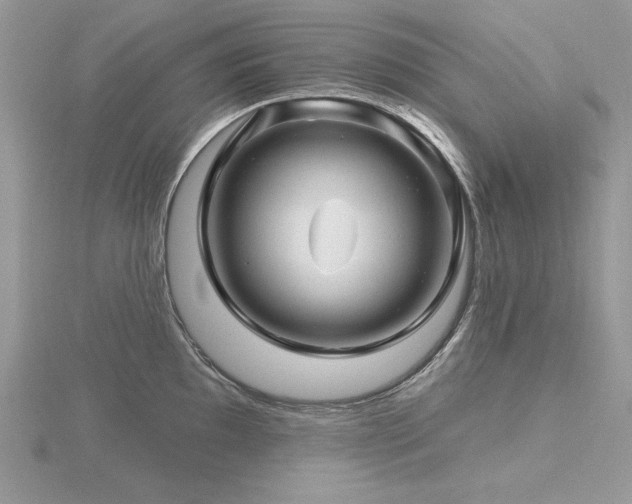 X0000116491097200912091416