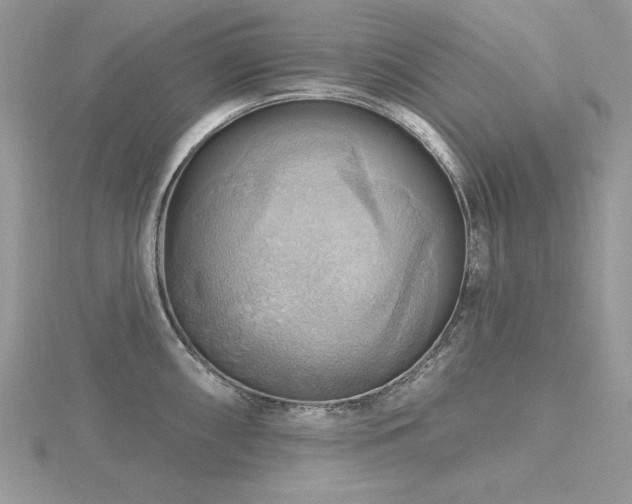 X0000116491098200912091416