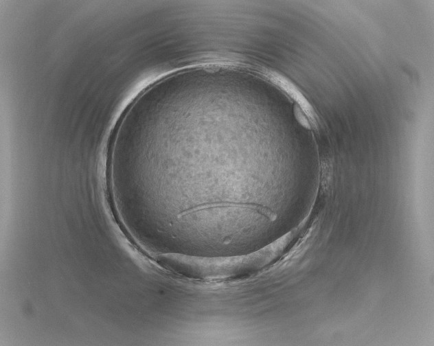 X0000116491099200912091415