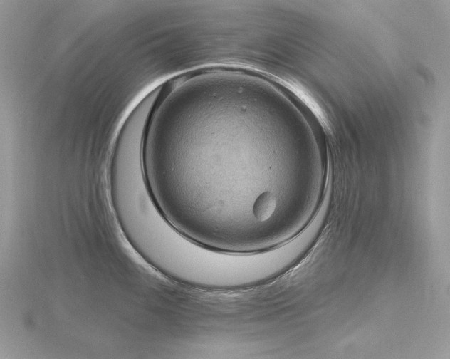 X0000116491100200912091415