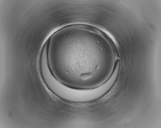 X0000116491101200912091415