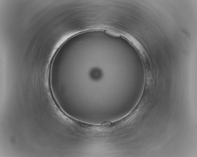 X0000116491102200912091415