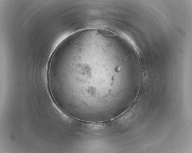 X0000116491103200912091415