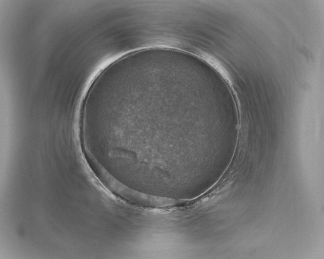 X0000116491104200912091415