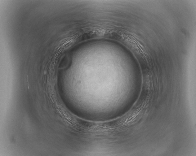 X0000116491105200912091415