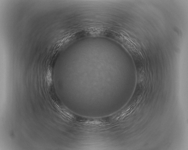 X0000116491106200912091415