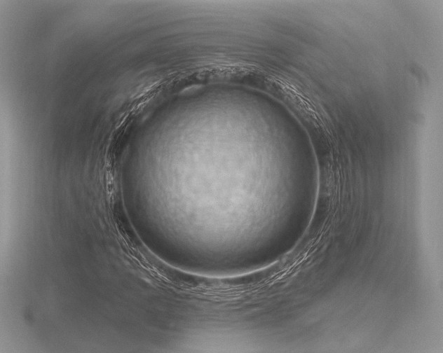 X0000116491109200912091415