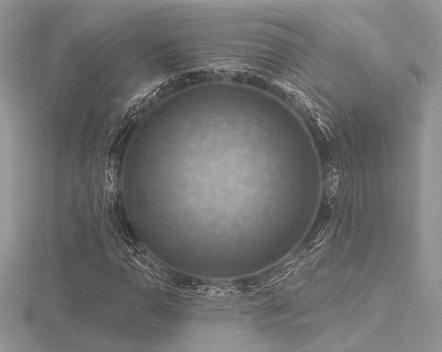 X0000116491110200912091415