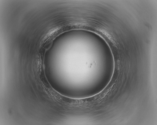 X0000116491111200912091415