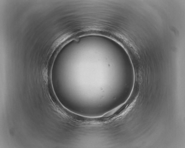 X0000116491113200912091415