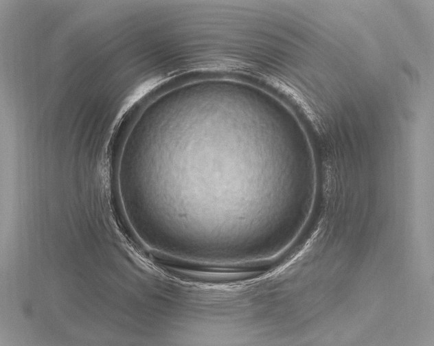 X0000116491114200912091415