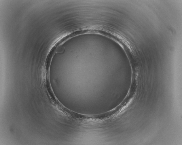 X0000116491117200912091415