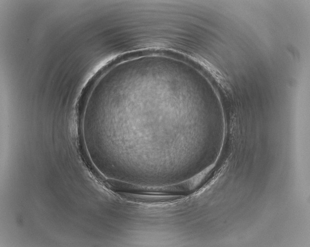 X0000116491118200912091415