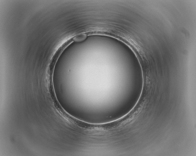 X0000116491119200912091415