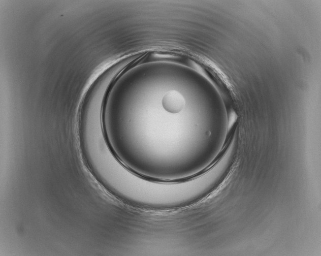 X0000116491122200912091415