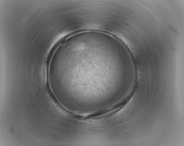 X0000116491123200912091415