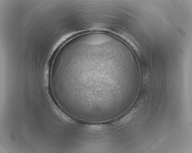 X0000116491126200912091415