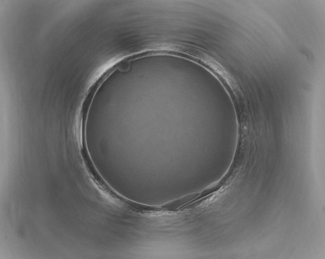 X0000116491127200912091415