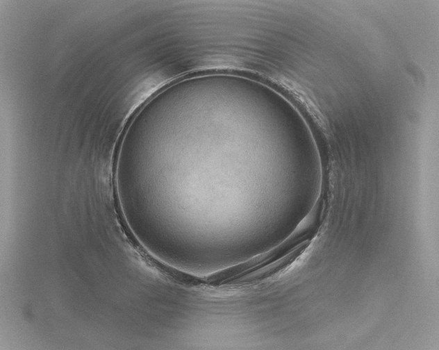 X0000116491129200912091415