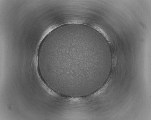 X0000116491130200912091415