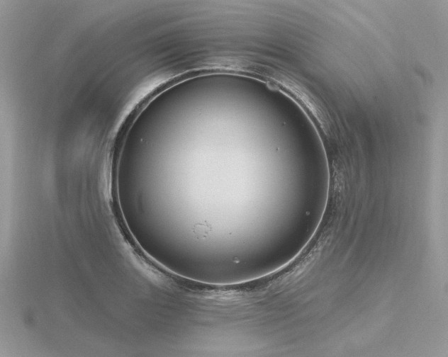 X0000116491131200912091415