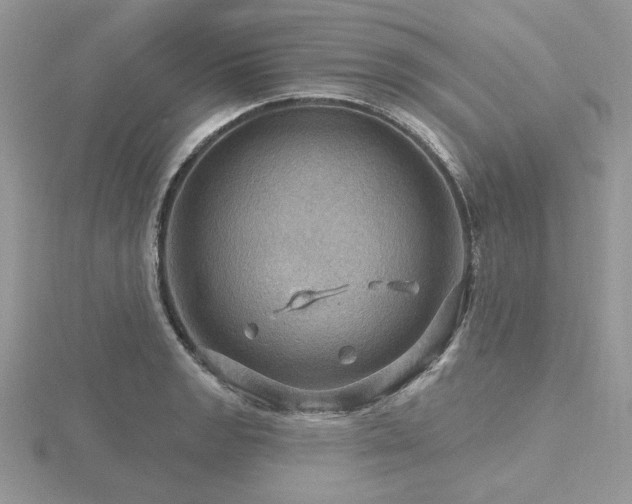 X0000116491133200912091415