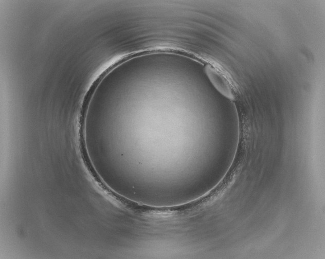 X0000116491134200912091415