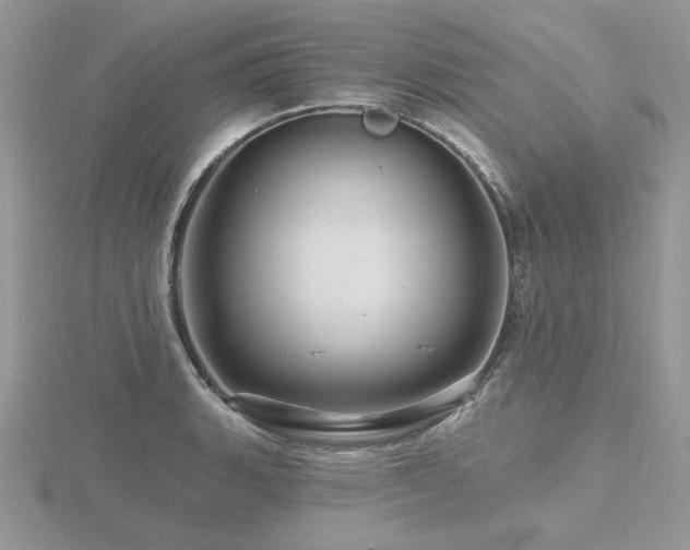 X0000116491135200912091415