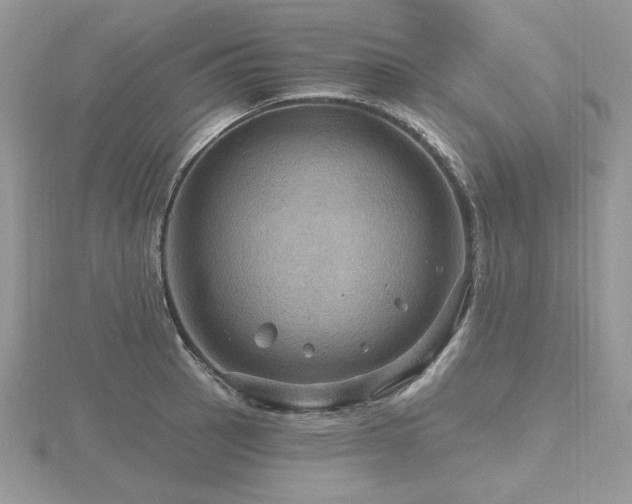 X0000116491137200912091415