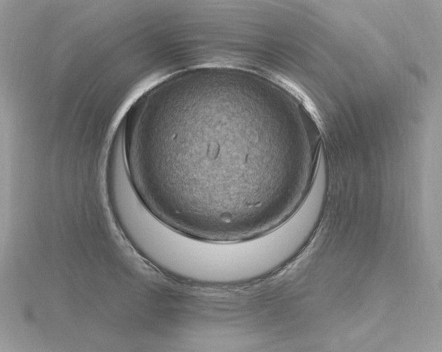 X0000116491138200912091415