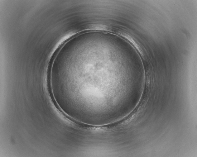 X0000116491139200912091415