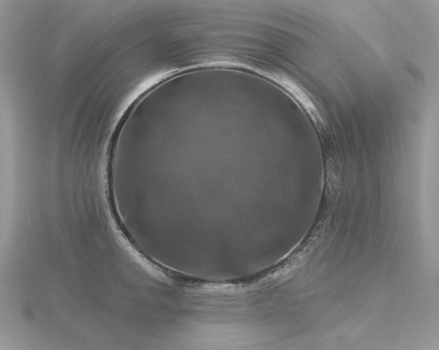 X0000116491142200912091415