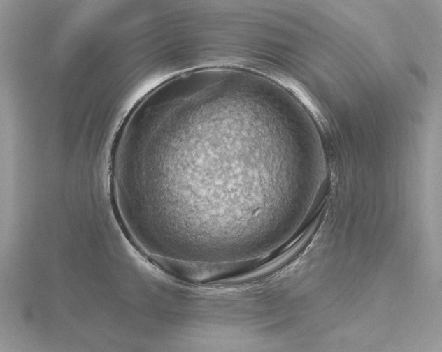 X0000116491143200912091415