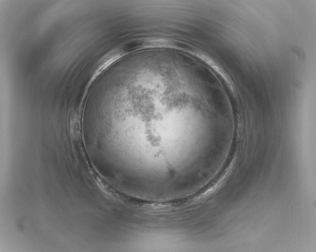 X0000116491145200912091415