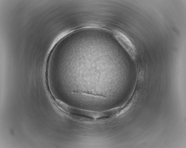 X0000116491146200912091415