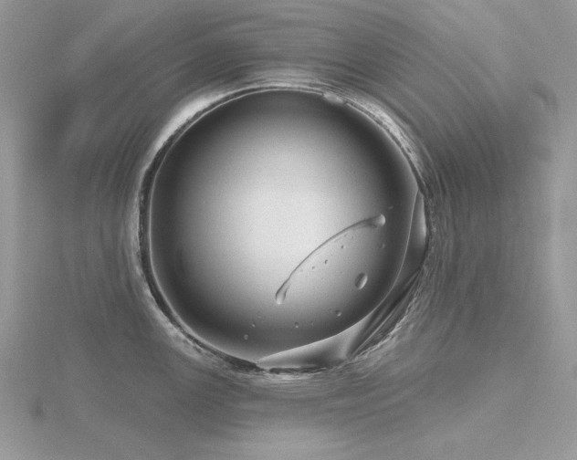 X0000116491147200912091415