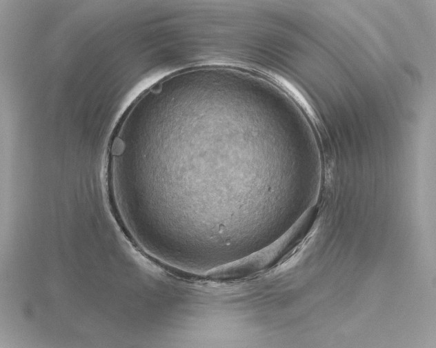 X0000116491149200912091415