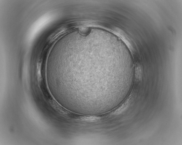 X0000116491150200912091415