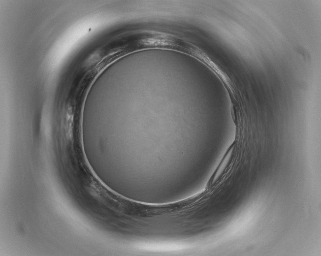 X0000116491151200912091415