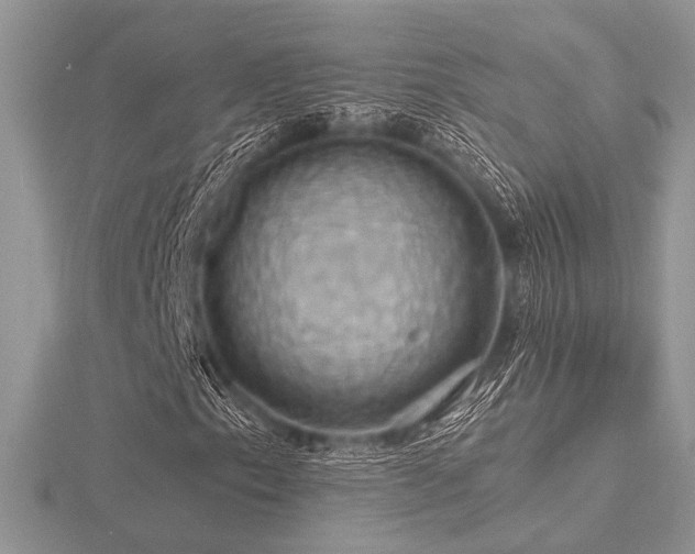 X0000116491153200912091415