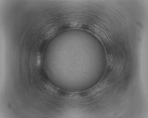 X0000116491154200912091415