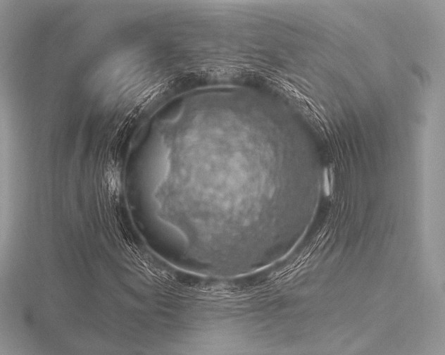 X0000116491155200912091415