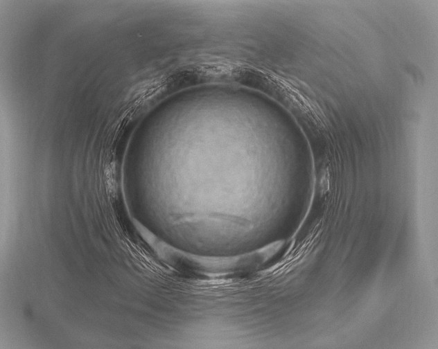 X0000116491156200912091415