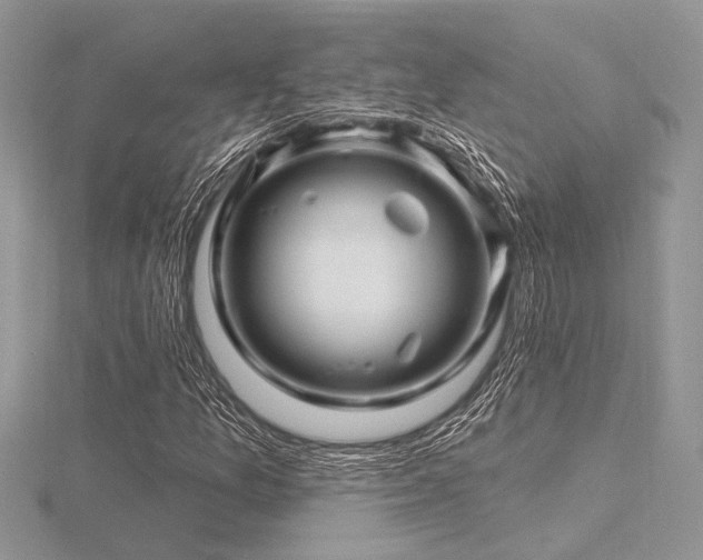 X0000116491157200912091415