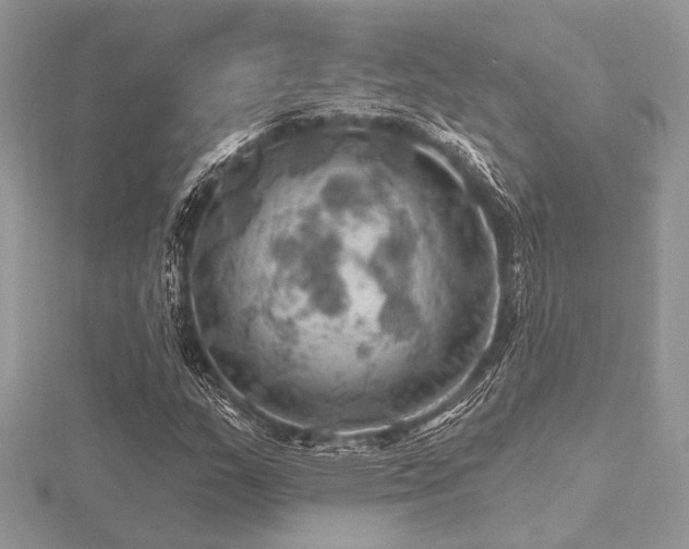 X0000116491159200912091415