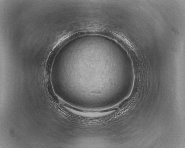 X0000116491160200912091415