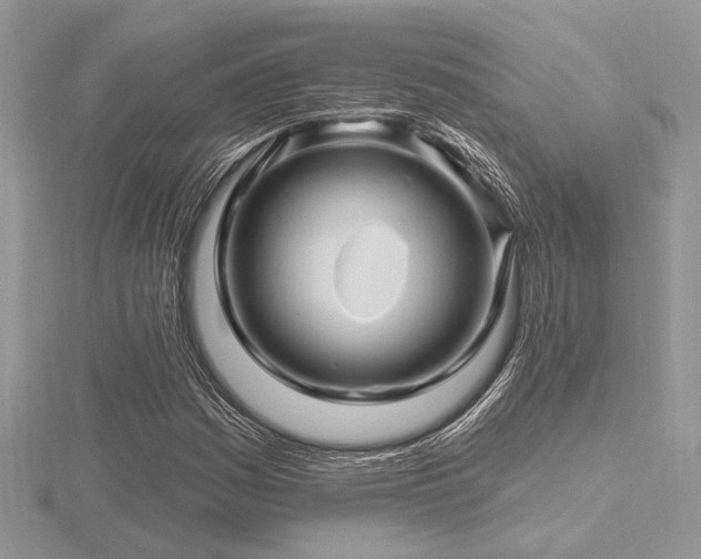 X0000116491161200912091415