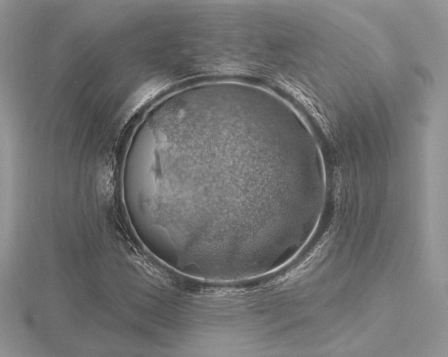 X0000116491163200912091415