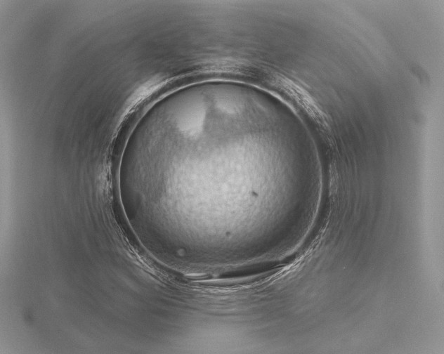 X0000116491164200912091415