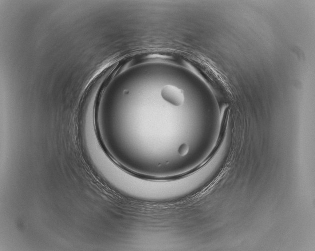 X0000116491165200912091415